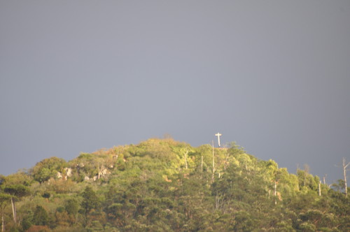 DSC_0142.JPG DSC_0142.JPG