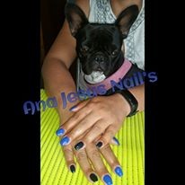 13240629_1223041111048655_2286655967545430917_n.jp 13240629_1223041111048655_2286655967545430917_n.jp