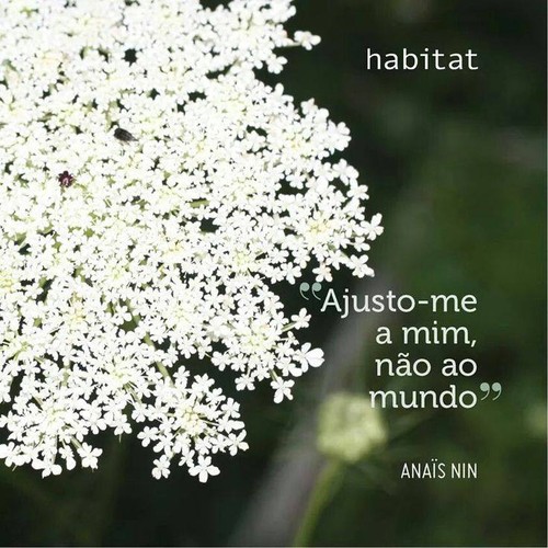 ajustar.jpg ajustar.jpg