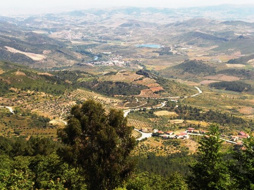 Alfandega da fé 001.jpg