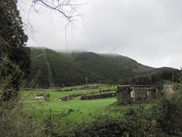 Esse lindo cu-de-judas.jpg