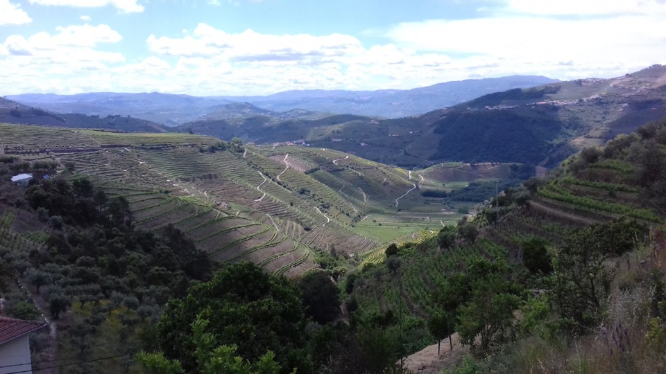 20190527_125742.jpg 20190527_125742.jpg