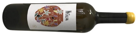 WhatsApp_Image_2021-06-07_at_08.24.18-removebg-pre