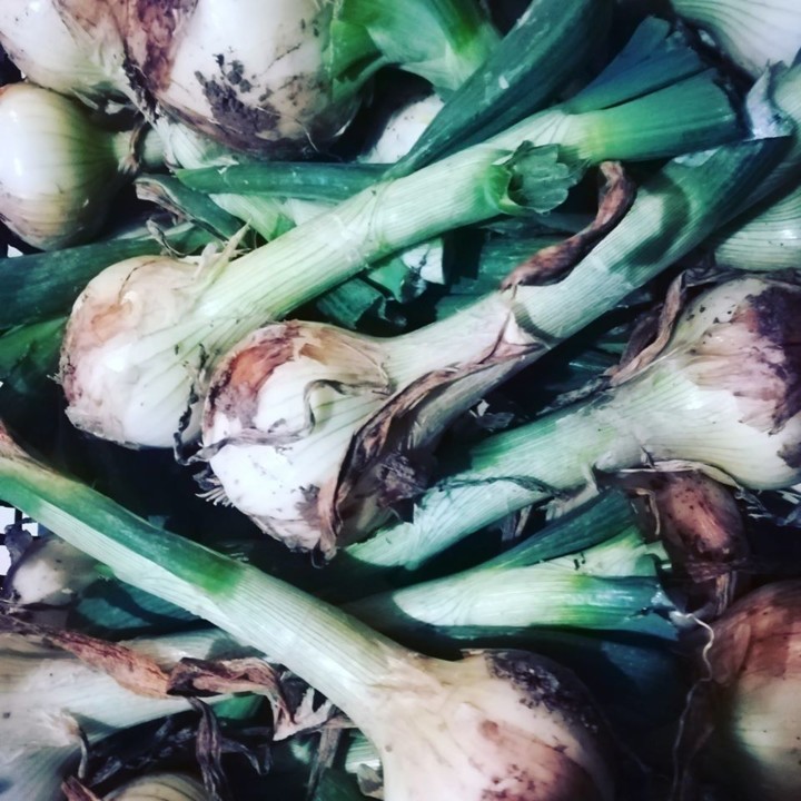 88248420_1631317400341348_450926163980713984_o.jpg 88248420_1631317400341348_450926163980713984_o.jpg