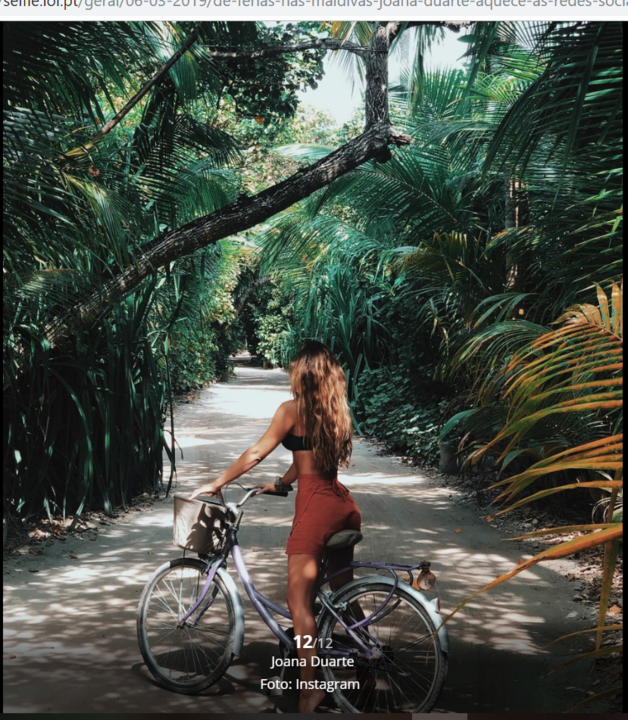 cdsdsd.png cdsdsd.png