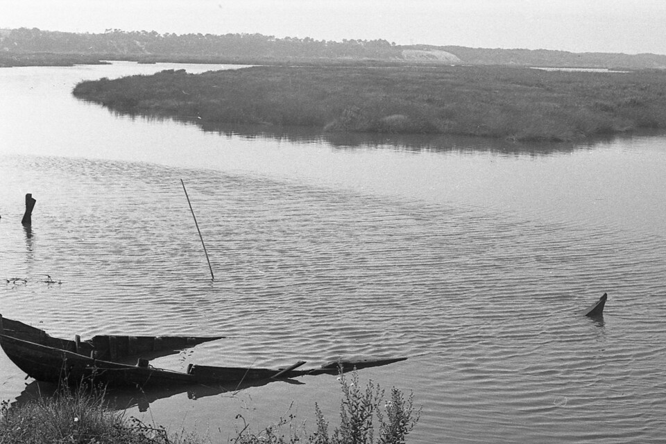 PT_AHMALCS_CMALCS_FOTOGRAFIAS_ 01_ 0716.jpg