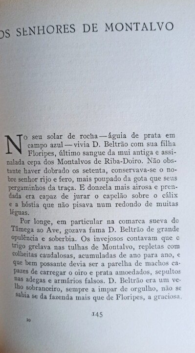 os senhores de Montalvo.jpg