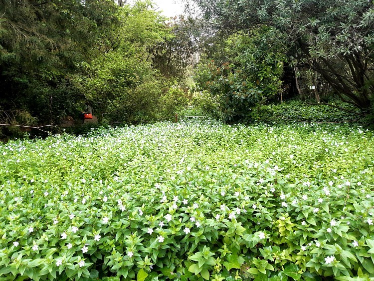 20210403_092545 (1).jpg