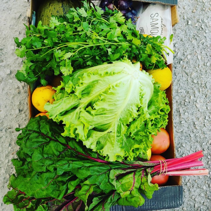 120195848_1826296600843426_4688929269332373643_o.j