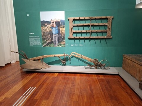 26a_Arouca (117).jpg