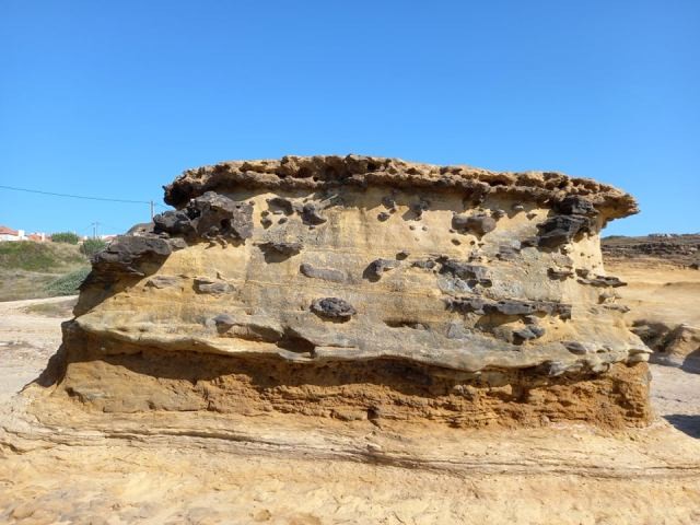 210800910_355090309305309_3065761404240612256_n.jp