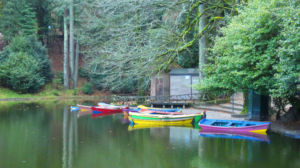 124213351_10218781116454099_8981692934195043707_o.