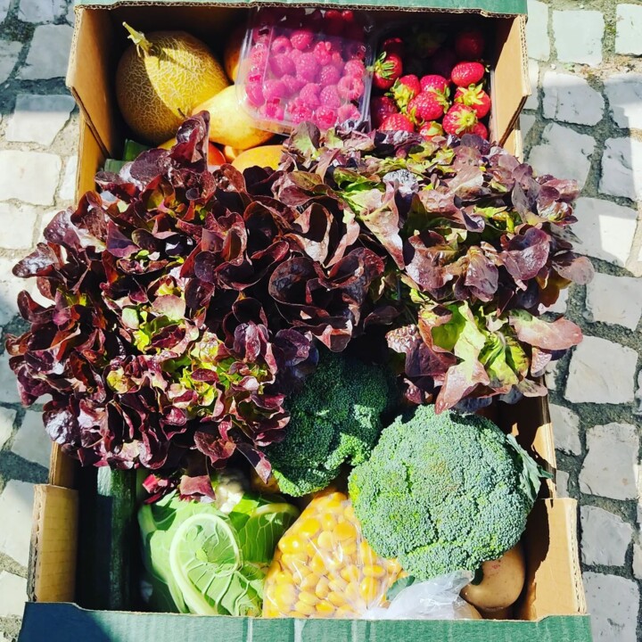 279628189_2305233766283038_3474010815739991017_n.j