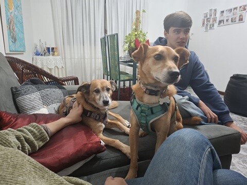 22a_Aniversário_Lila (6).jpg