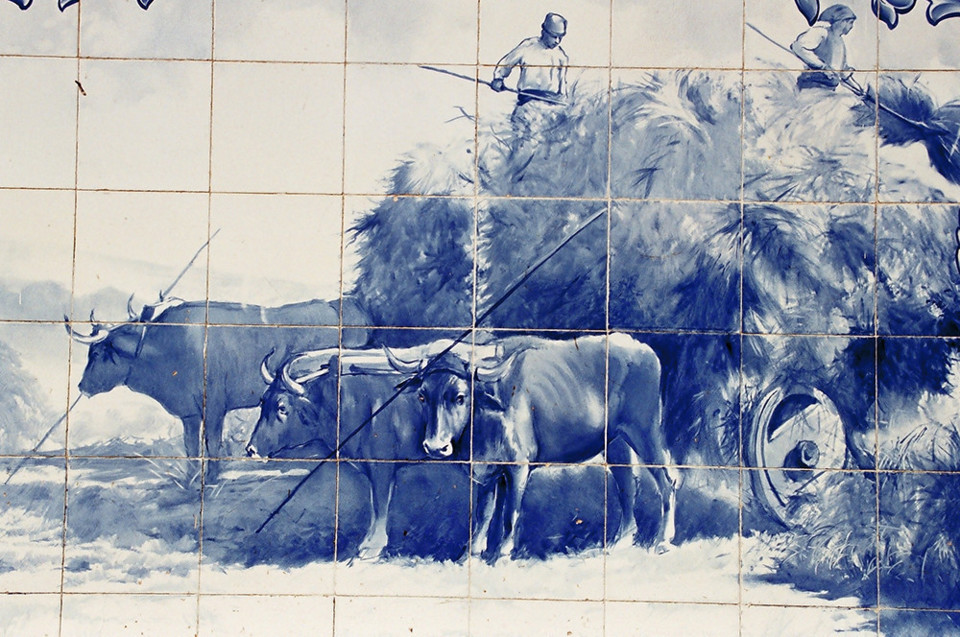 encontro cultura popular II.jpg