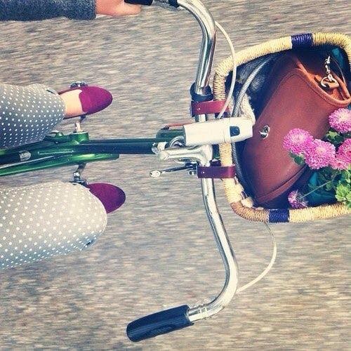 11813287_10155907855485013_6352193297990149670_n.j