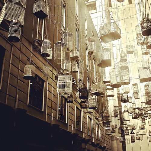 tumblr_mcqfb6W5LW1r1thfzo5_1280.jpg tumblr_mcqfb6W5LW1r1thfzo5_1280.jpg