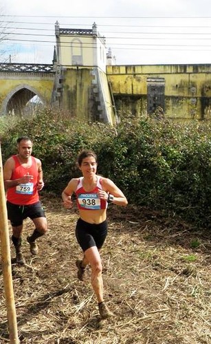 10991189_1608418606048890_1483752852623614466_n.jp