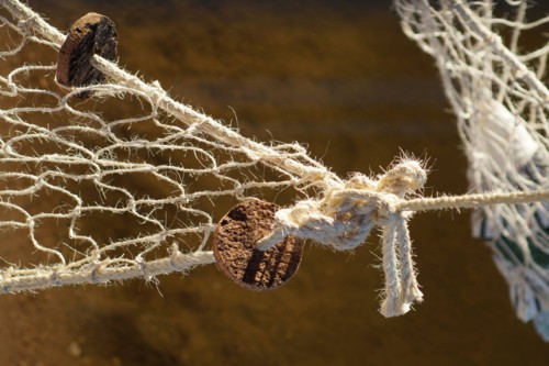 22220055_10156707202273696_2135003311700737830_o.j