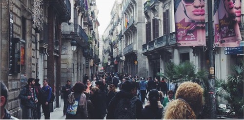 IMG_7438.JPG IMG_7438.JPG