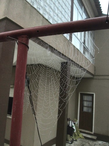 IMG_4728.JPG IMG_4728.JPG