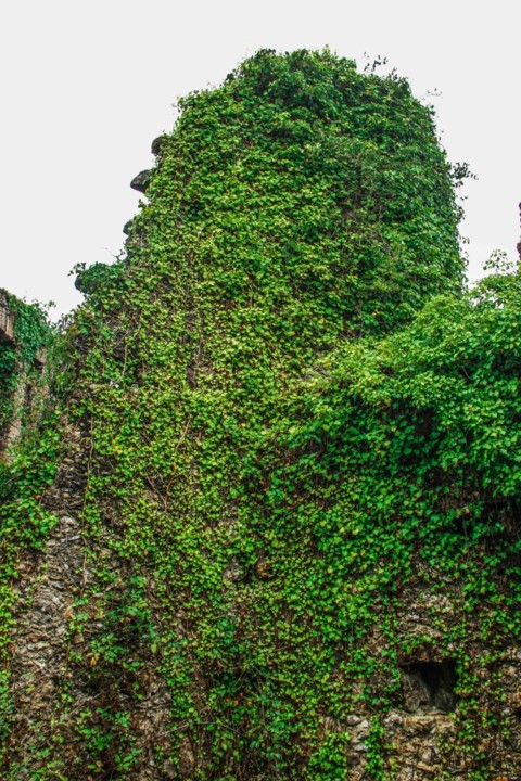 sanatorio albergaria 5.jpg