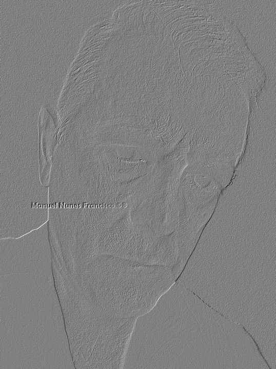 Manuel Nunes Francisco ©®II.jpg