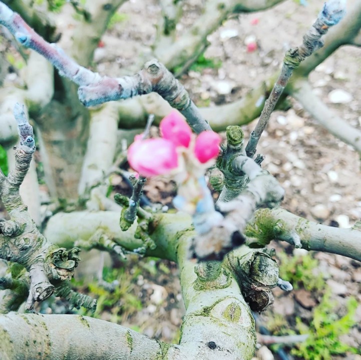 277177808_2269516606521421_5334274525380608405_n.j