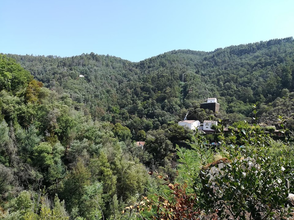 67763410_10156644010278565_3443033135242018816_n.j