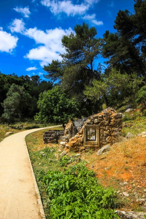 trilho das vinhas-15.jpg