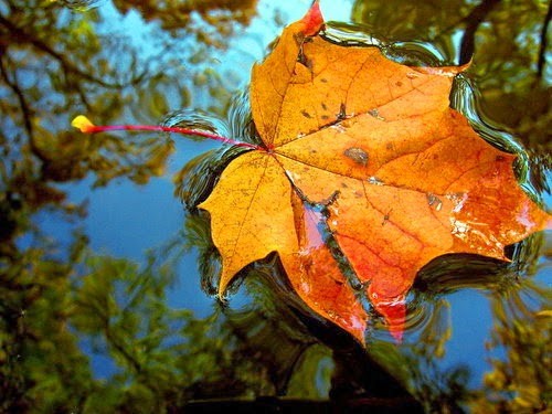 INSPIRAÇÕES DE OUTONO_FOTO10.jpg