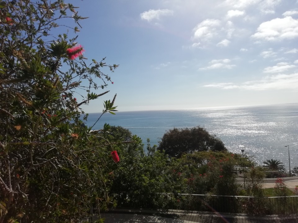 IMG_20210131_120811.jpg IMG_20210131_120811.jpg