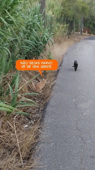 2021-08-15 02-picsay.jpg