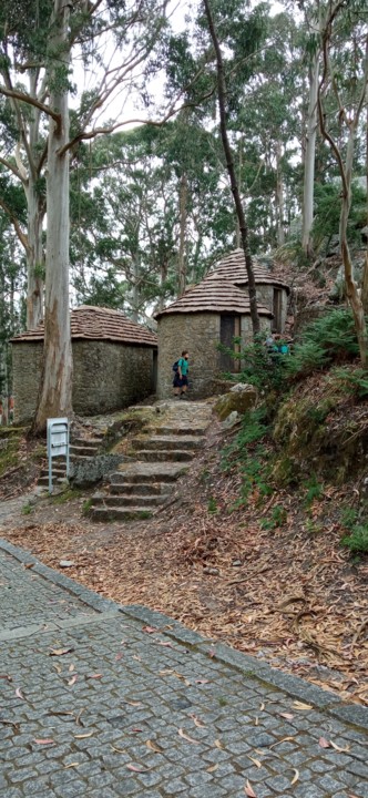 IMG_20210626_165925.jpg IMG_20210626_165925.jpg