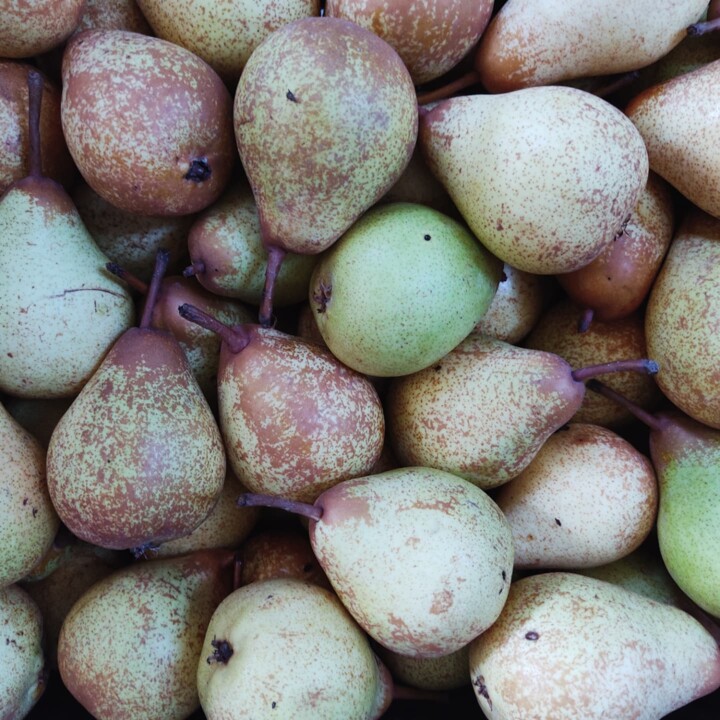 469532969_974175521406525_3168460013482595386_n.jp