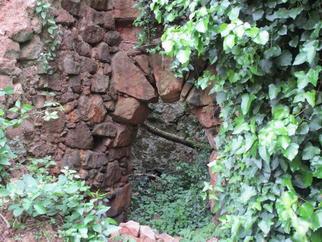 168355137_3773436666104944_193778174654085628_n.jp