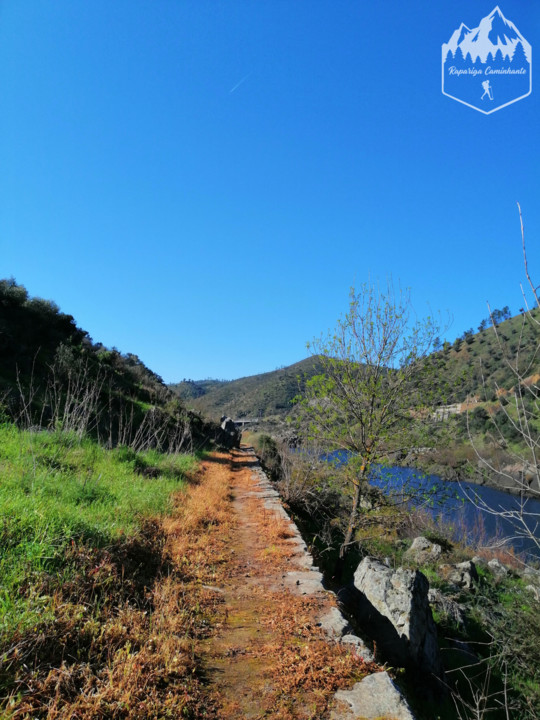 Photo_1583864050779.jpg Photo_1583864050779.jpg