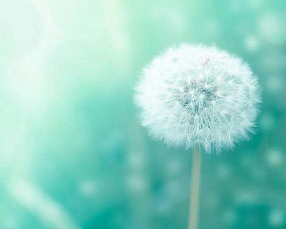 109231369_3023661811063004_564587356564575309_n.jp