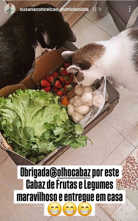 482983345_1227454642322516_6404529005999743074_n.j