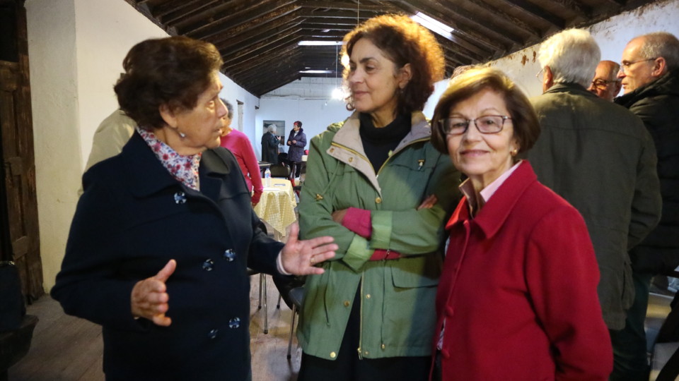 IMG_7978 - Cópia.JPG