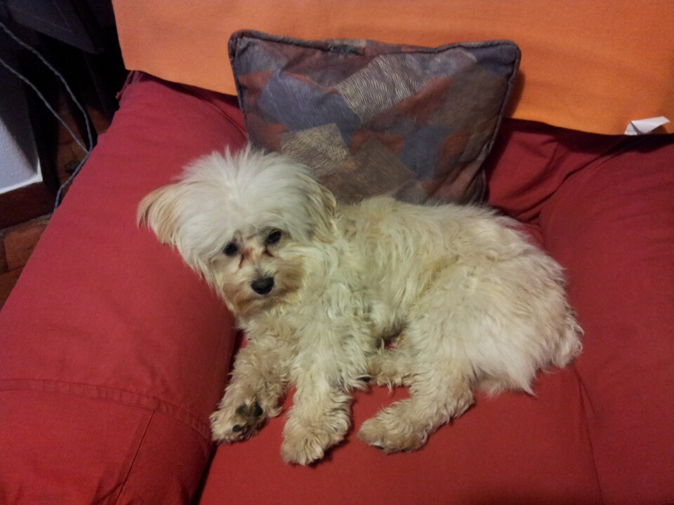 2011-10-22 17.42.14.jpg