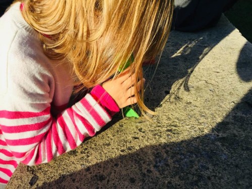 51589940_2288293131190611_5607914308483678208_n.jp