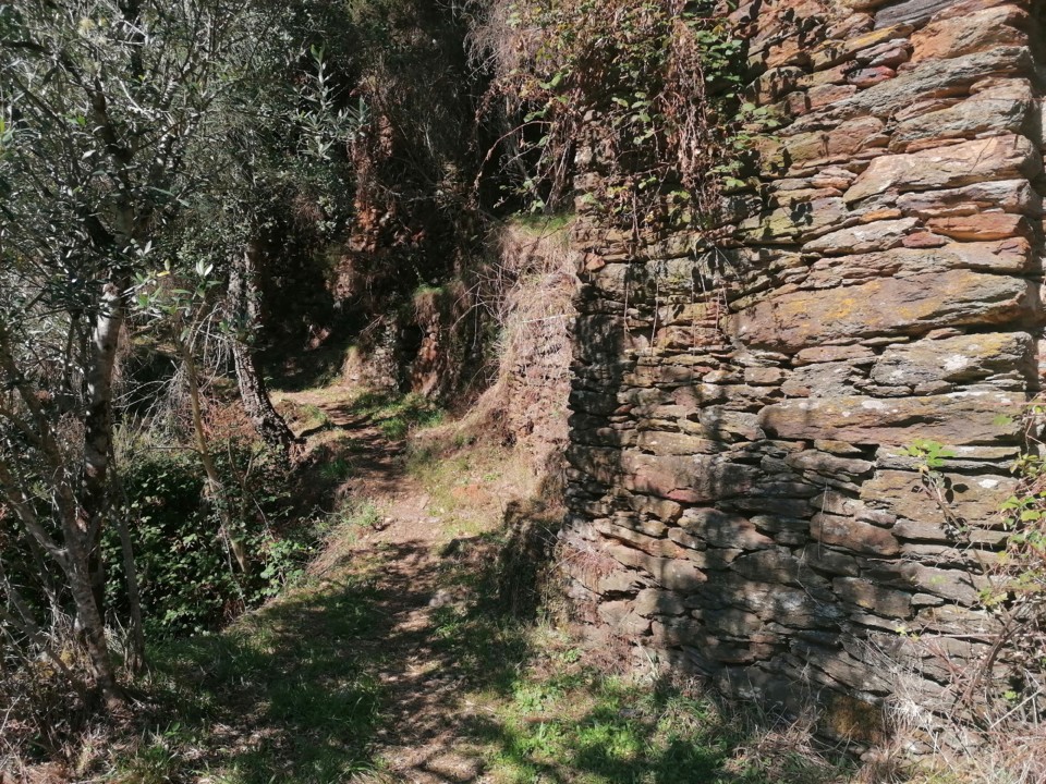 IMG_20201010_125821.jpg IMG_20201010_125821.jpg