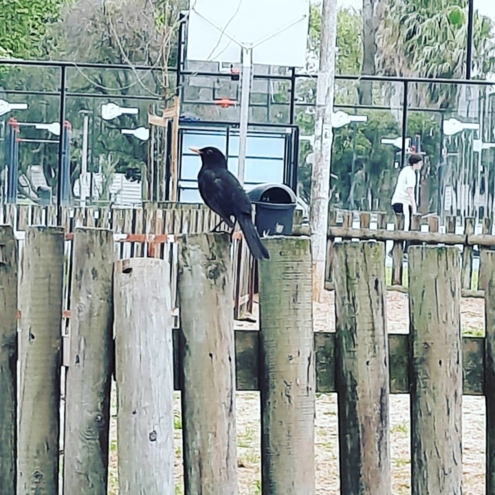 168319983_10221456707705713_4029997756024012820_n.