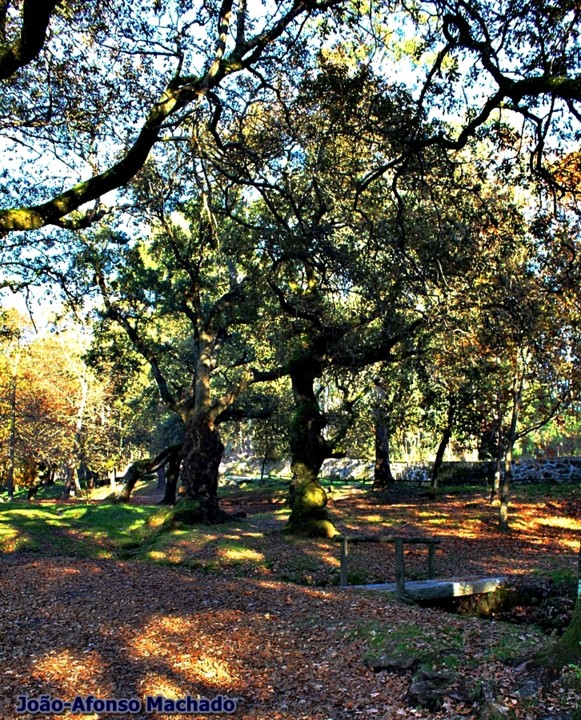 VALINHAS.JPG VALINHAS.JPG