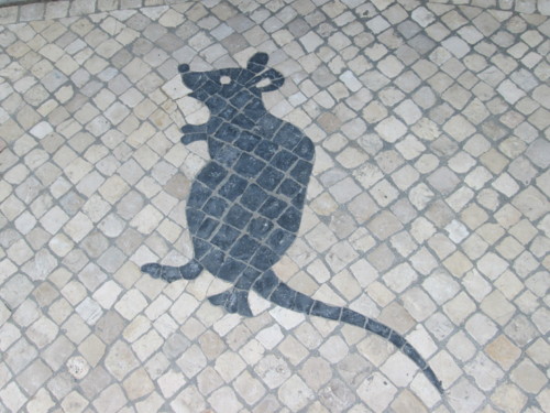 IMG_7107.JPG IMG_7107.JPG