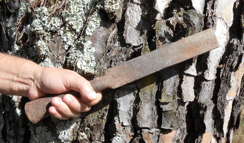 Foto 6.JPG Foto 6.JPG