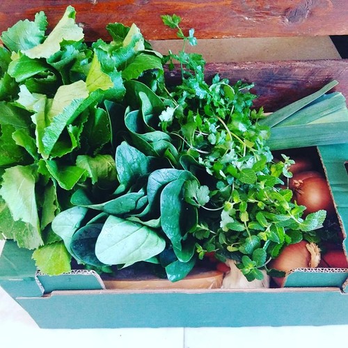 16473848_841899132616516_1404414121760645391_n.jpg 16473848_841899132616516_1404414121760645391_n.jpg