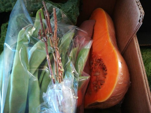 28059347_1045377625601998_4517876857282893709_n.jp 28059347_1045377625601998_4517876857282893709_n.jp