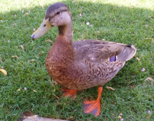 IMG_20160524_154325 (2).jpg